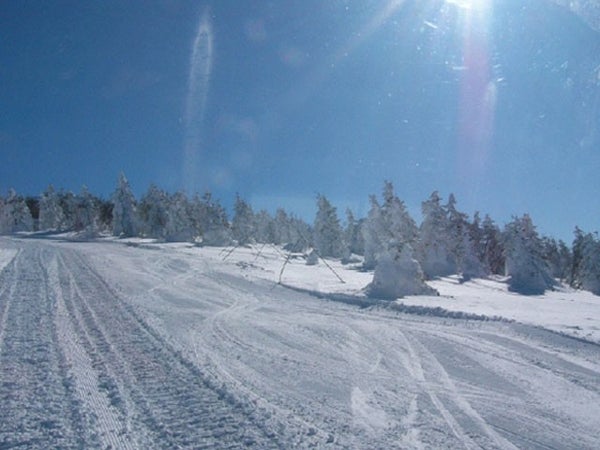 ■●朝発バス 菅平高原スノーリゾート【全山リフト券】 菅平イナリールホテル(1泊2日)2